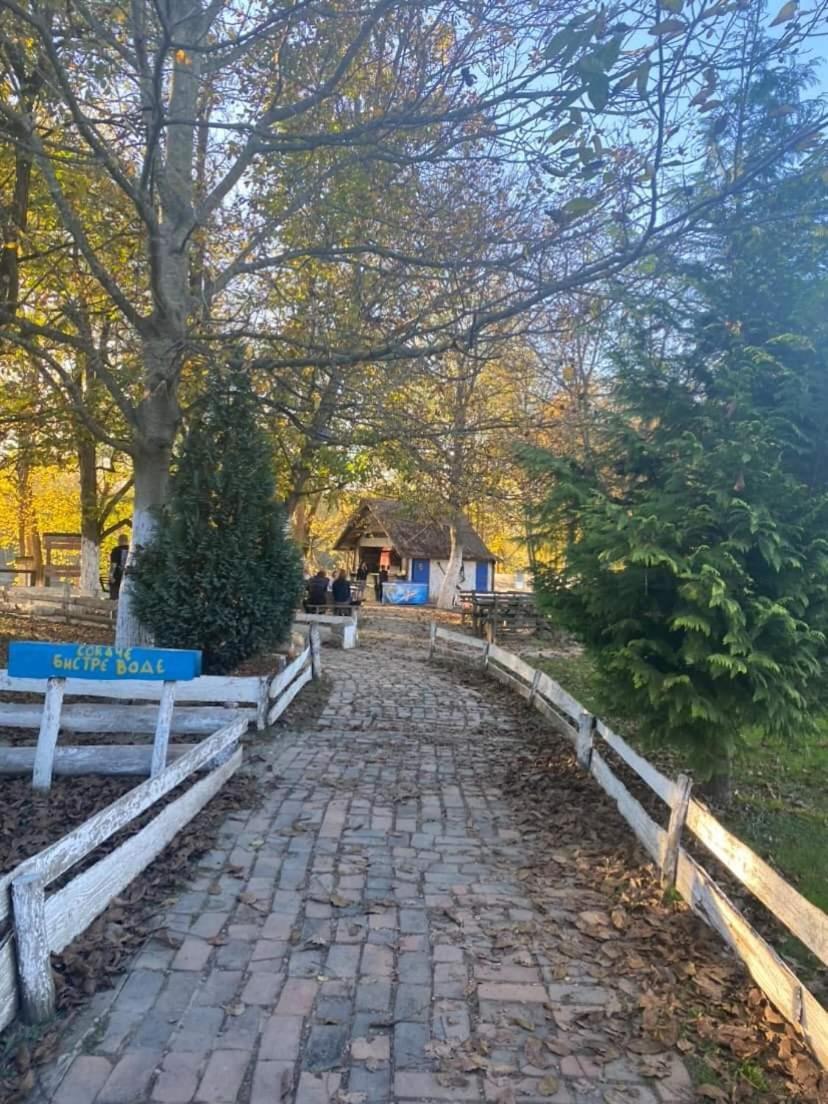 Apartman Lavanda Banja Koviljača Zewnętrze zdjęcie